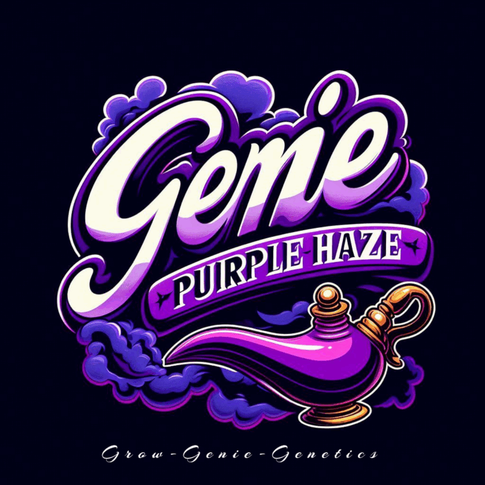 Purple Haze