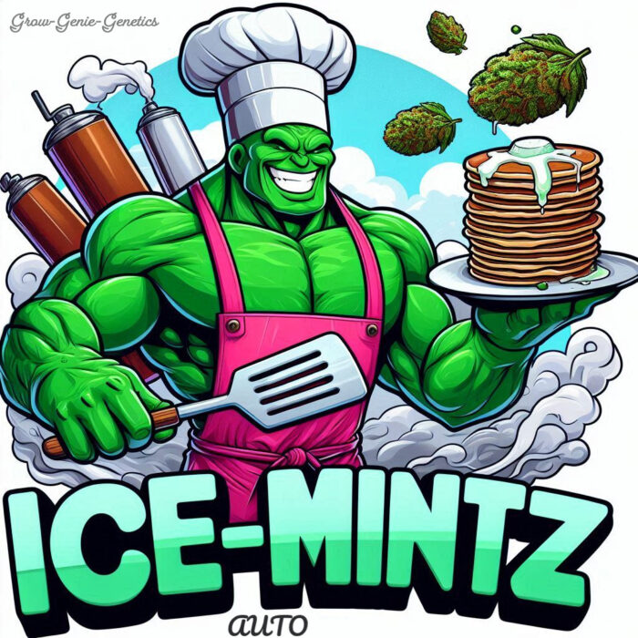 ICE-MINTZ *AUTO*