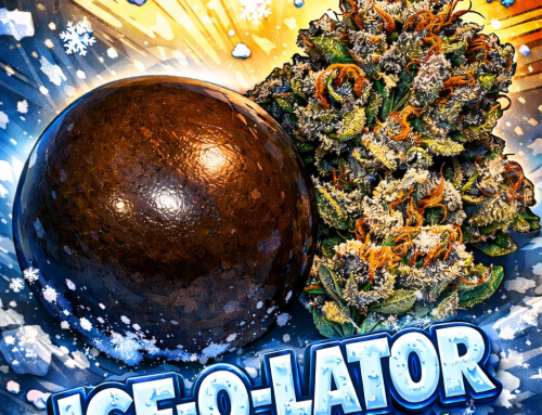 „Ice-o-Lator“