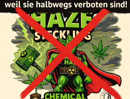 Sind Cannabis-Stecklinge in Deutschland legal? Die aktuelle Lage 2026